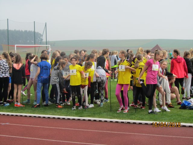 sztaf 15